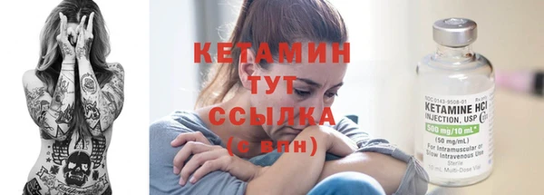 твердый Бородино
