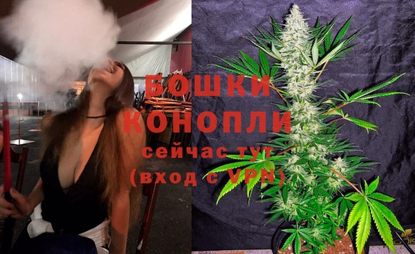 твердый Бородино