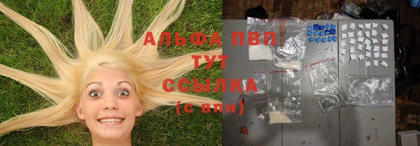 твердый Бородино