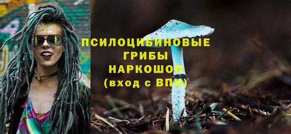 твердый Бородино