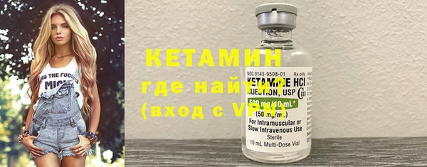 твердый Бородино