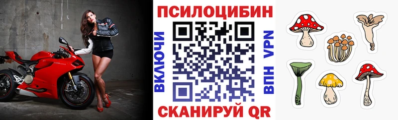 Псилоцибиновые грибы мицелий  Чудово 