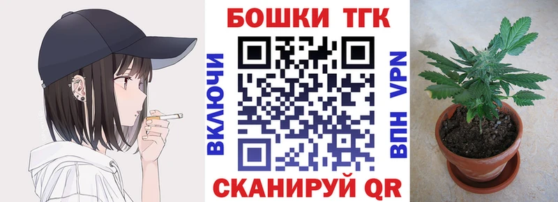 Конопля SATIVA & INDICA  купить закладку  Чудово 